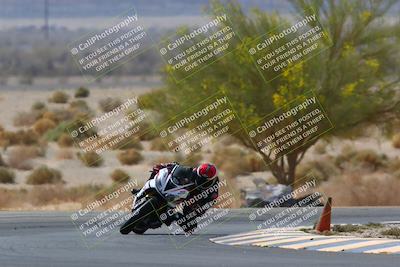 media/Apr-10-2022-SoCal Trackdays (Sun) [[f104b12566]]/Turn 5 Tree of Life (1040am)/